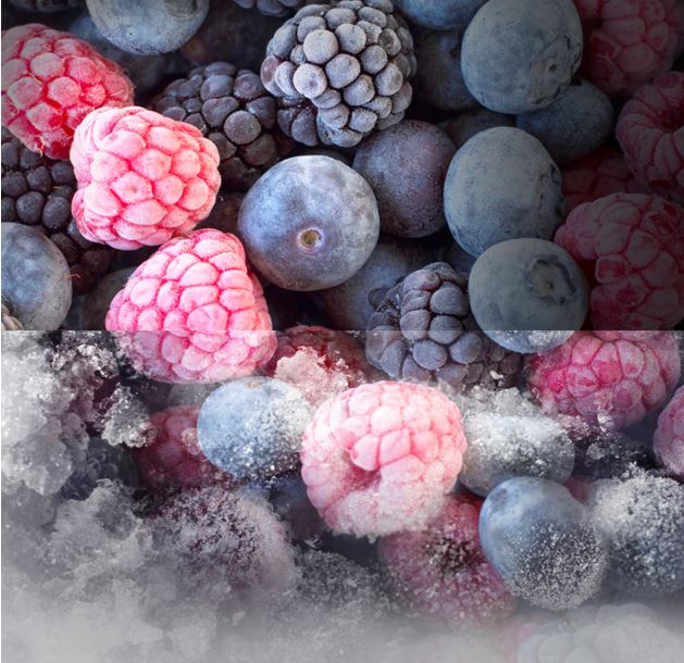 Frigorífico Sistema Total No Frost 